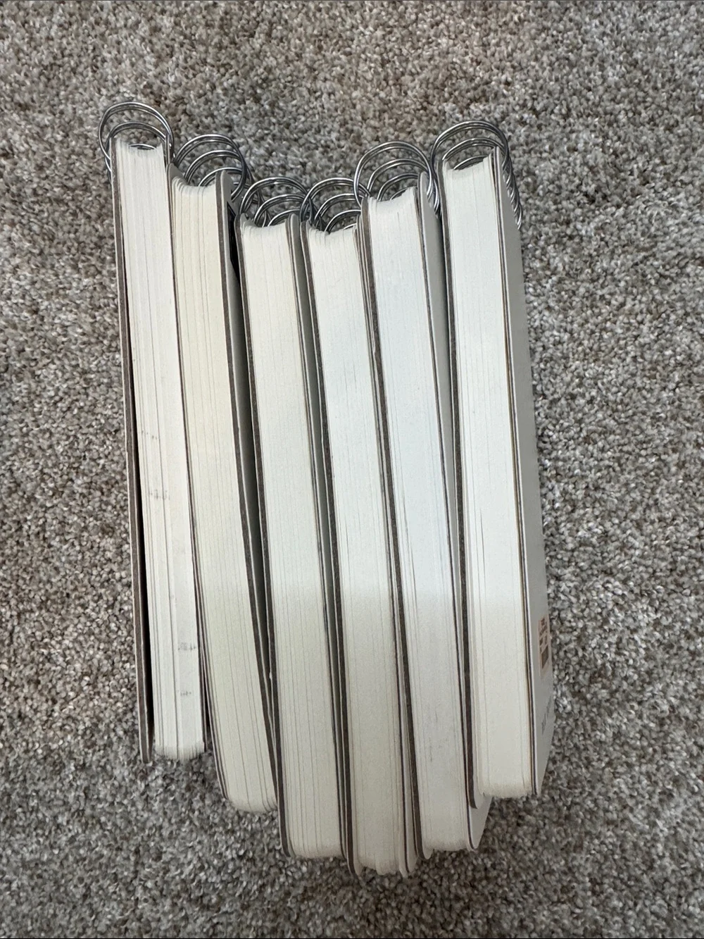 NEW 6 Rae Dunn notepads